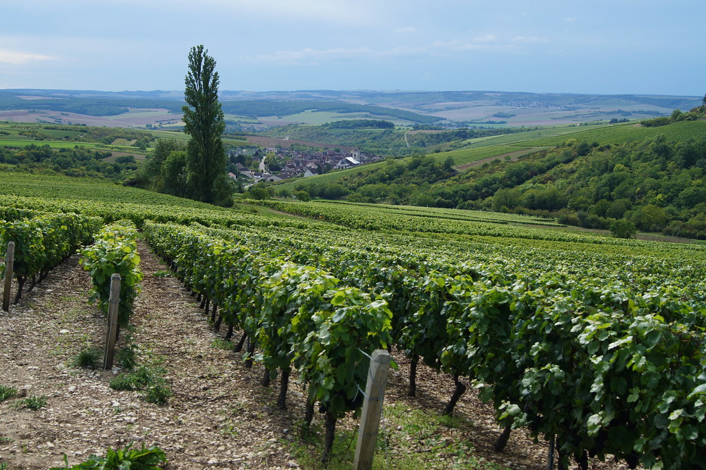 sur la route des vins de bourgogne