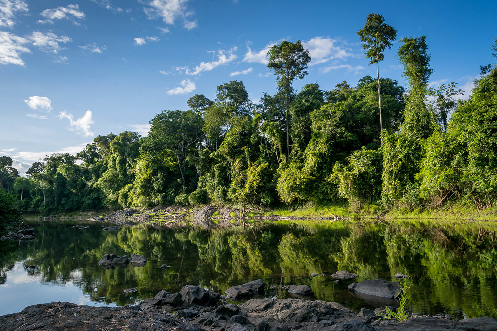 suriname 21 jpg