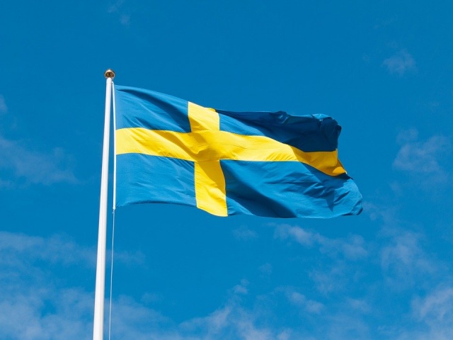 Svezia Bandiera Bandiera Svedese