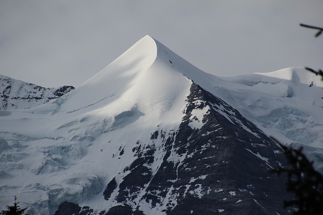 svizzera wengen montagna neve