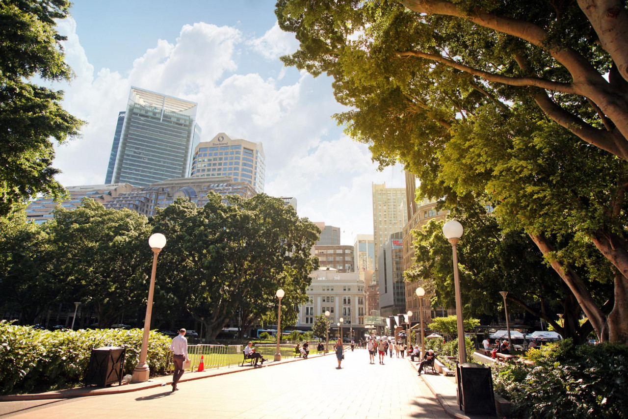 sydney australia november 20 2017 sun rays trees hyde park background city skyscrapers tourists residents walk park