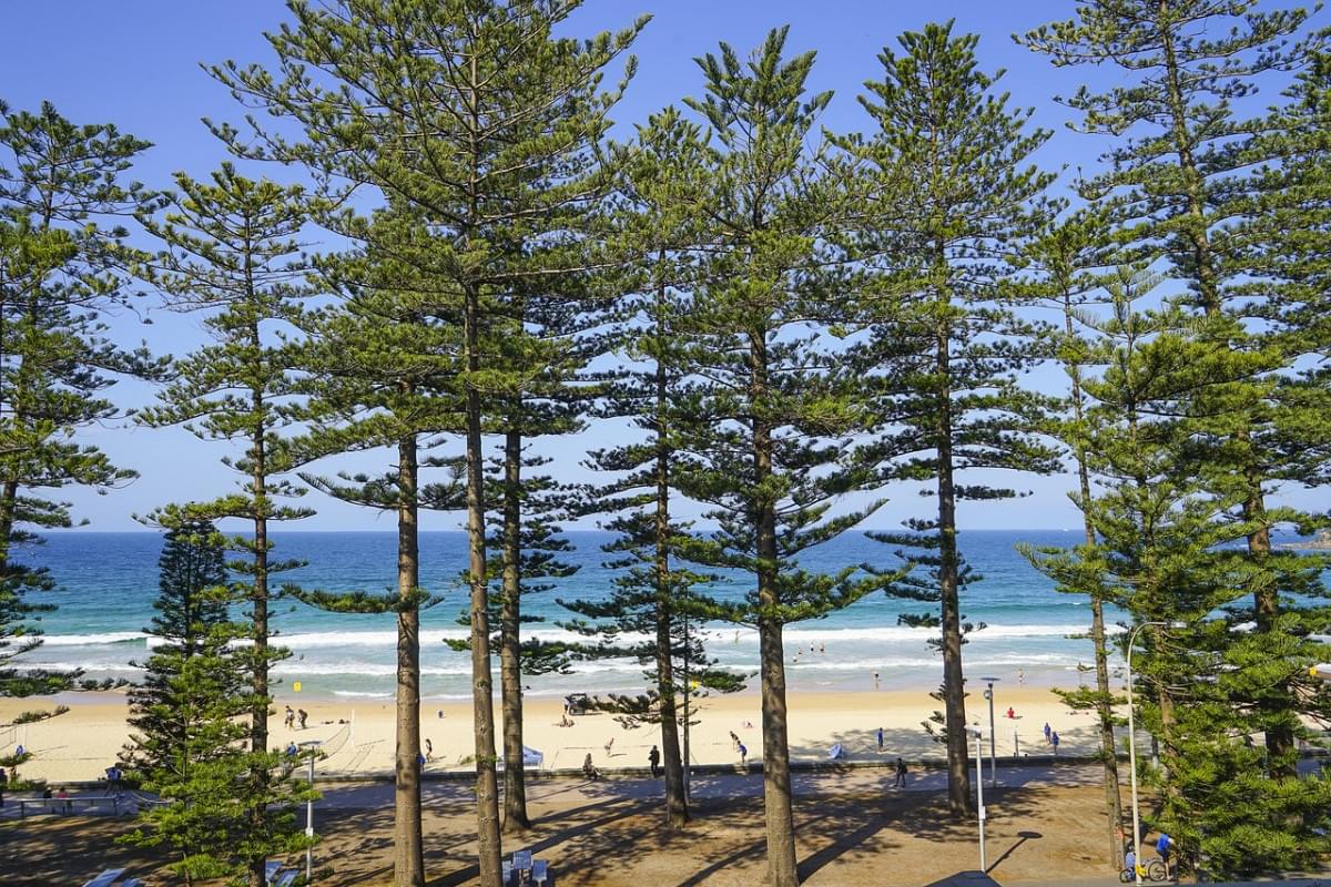 sydney manly beach