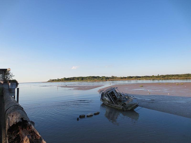 tagliamento la foce a lignano