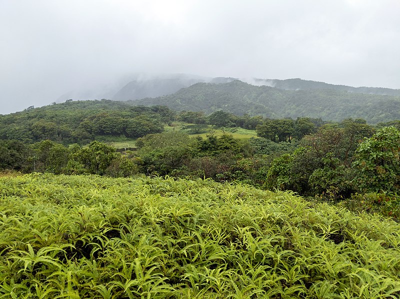 tahiti french polynesia belvedere plateau de taravao 48037647107