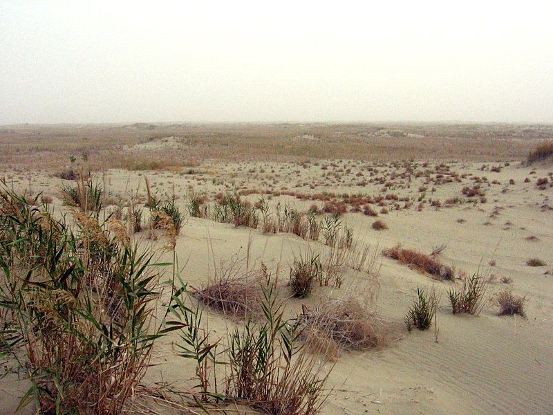 09 deserto di taklamakan