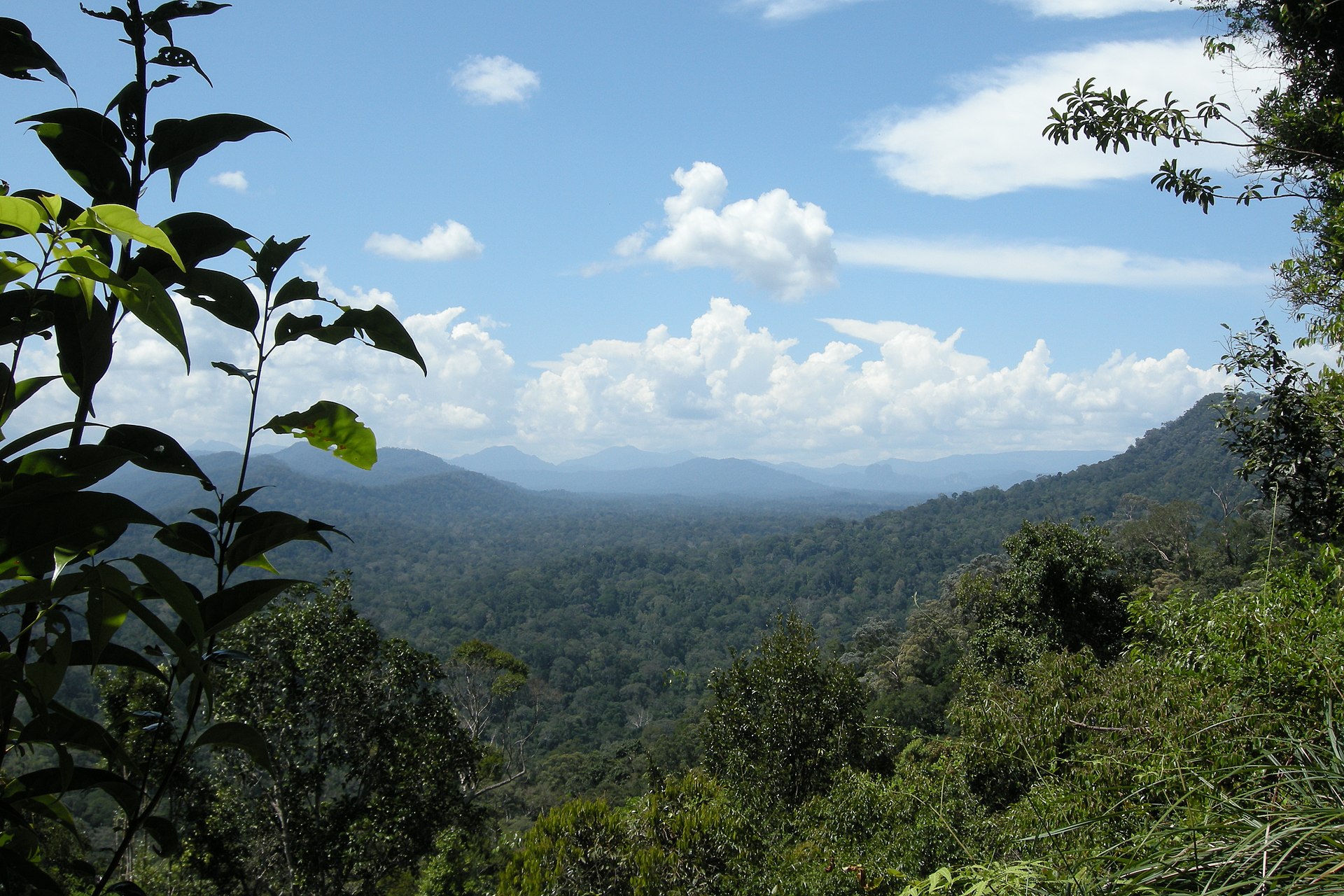 taman negara malaysia panoramic view 2