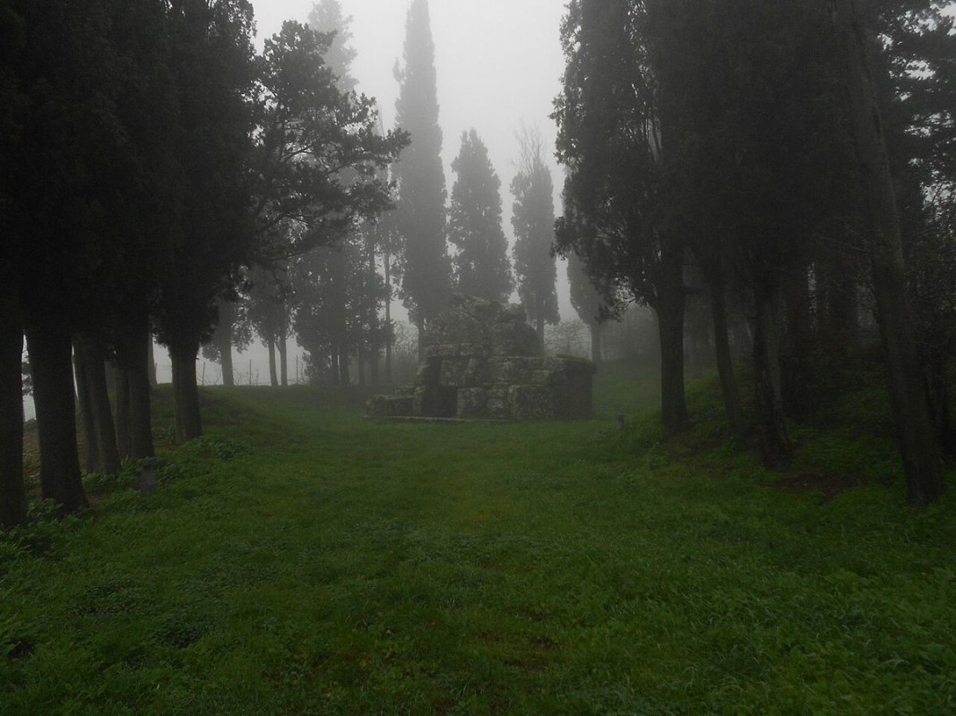 tanella pitagora cortona - foto di angela stefanoni