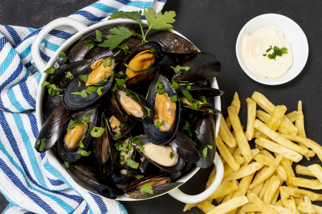 tasty mussel with french fries