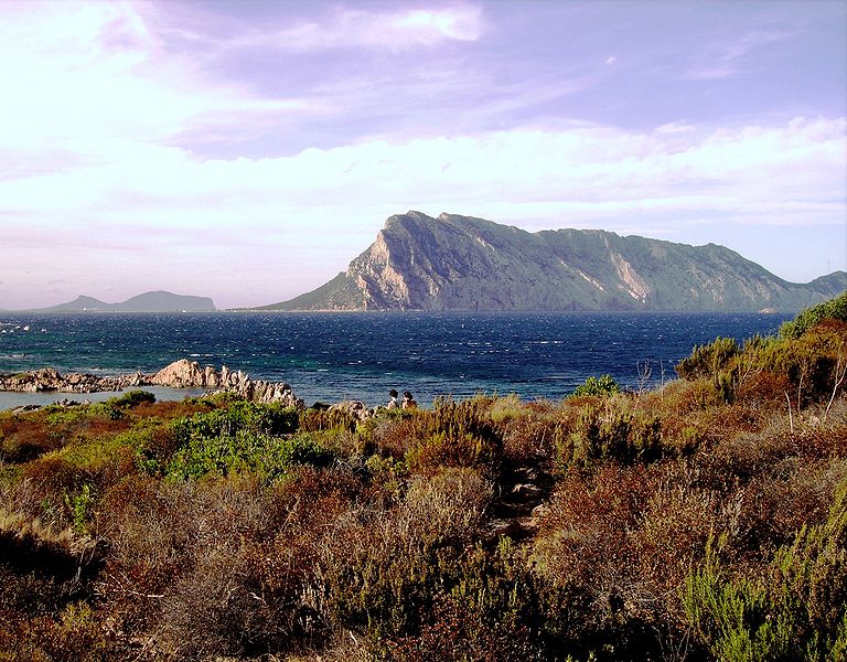 Area Marina Protetta di Tavolara