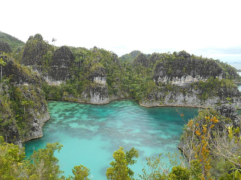 telaga bintang raja ampat