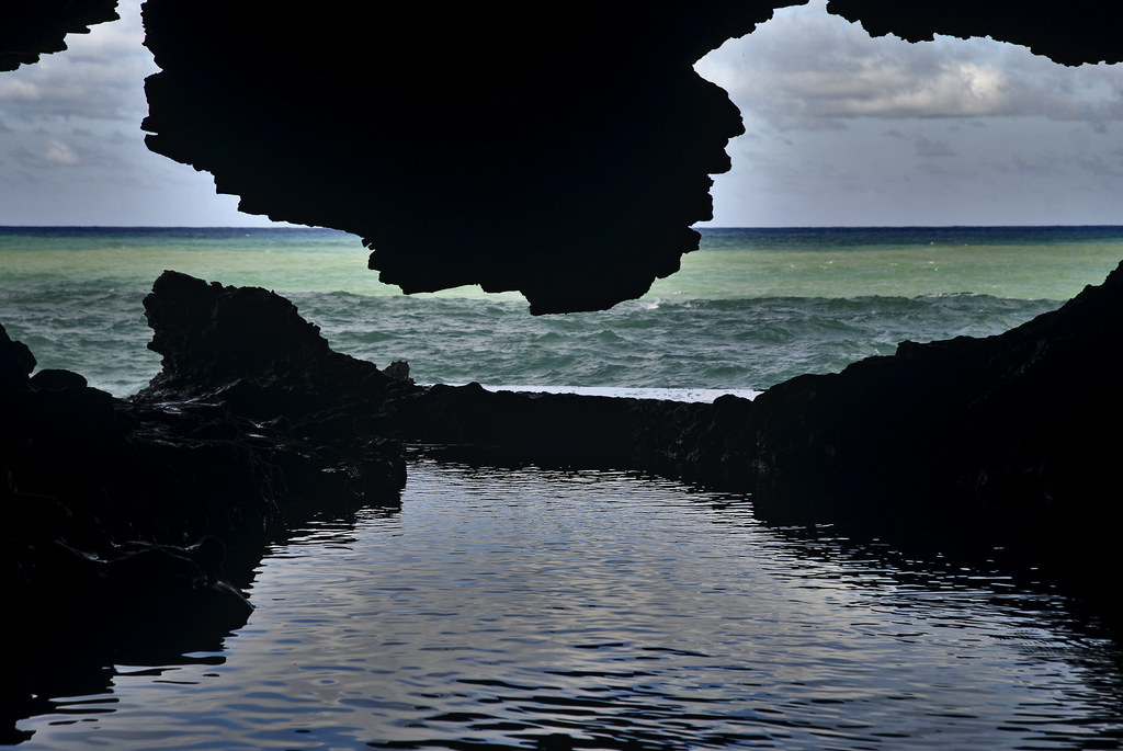 the animal flower cave barbados