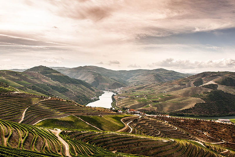 the douro valley vineyards