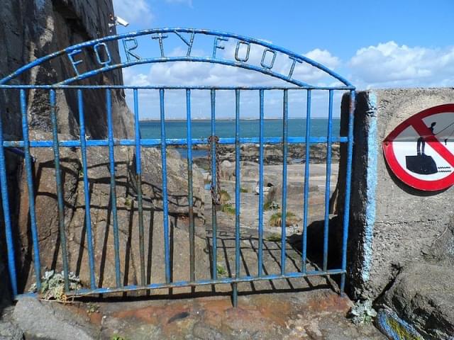 the forty foot dublin