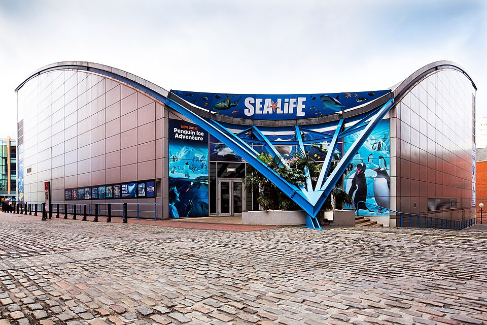 the national sea life centre birmingham