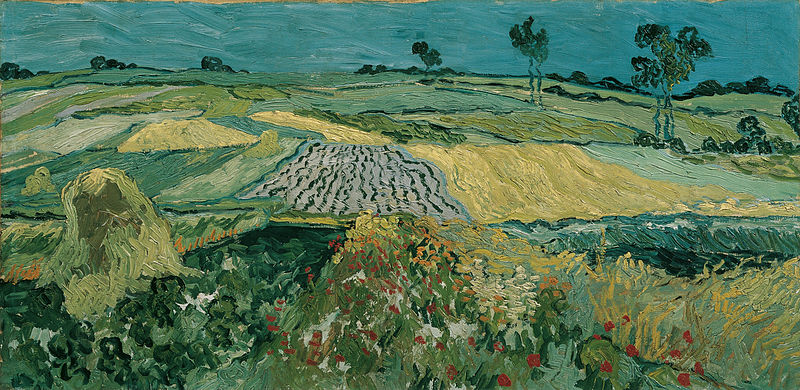 the plain of auvers vincent van gogh google cultural institute