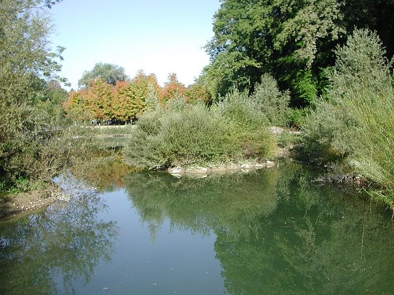 tierpark dahlholzli bern