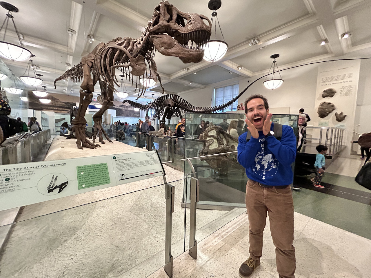 Scheletro di tirannosauro presso American Museum of Natural History