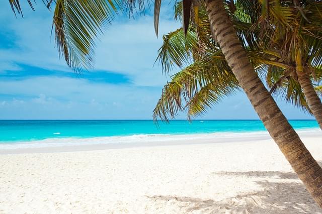 spiaggi di tobago