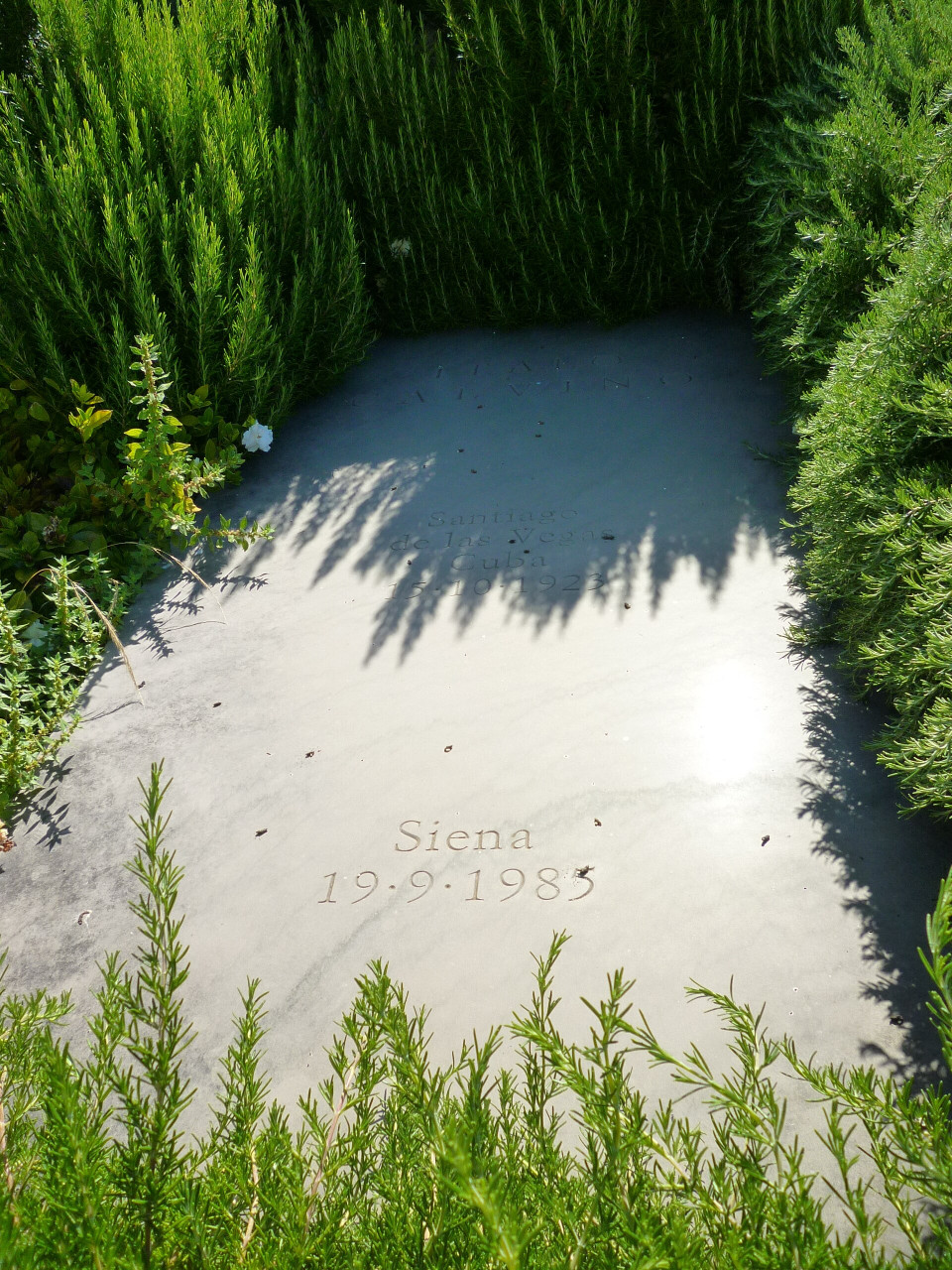 tombadiitalocalvinonelcimiterodicastiglionedellapescaia