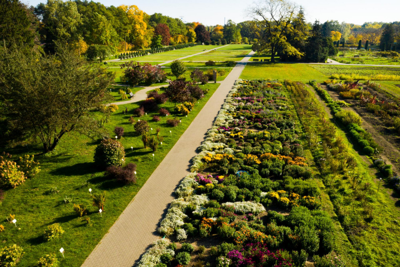 top view autumn minsk botanical garden belarus