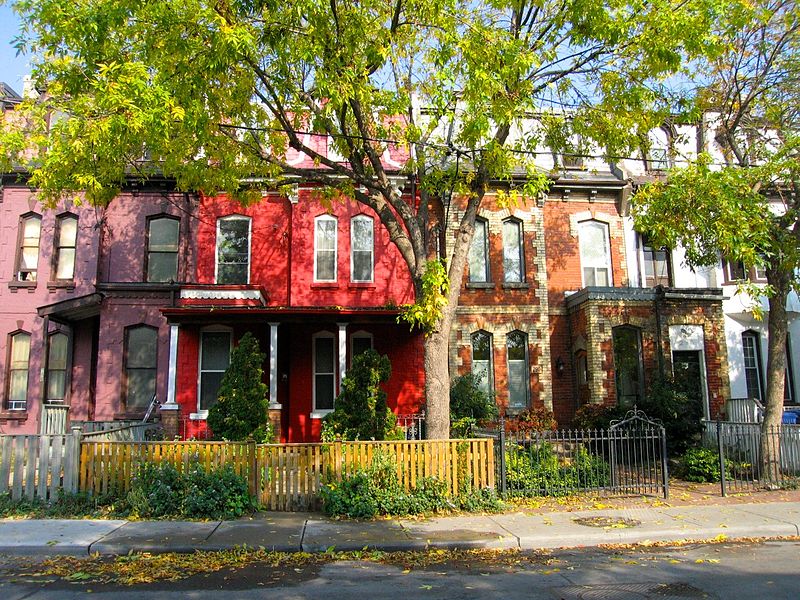 toronto cabbage town