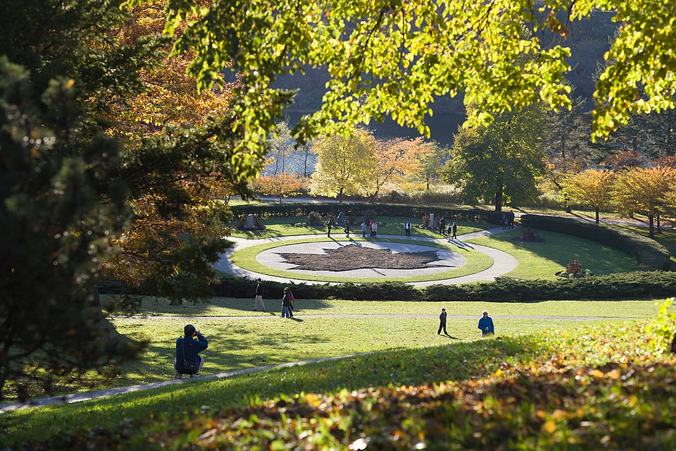toronto high park 6569803311