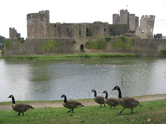 13 caerphilly castle