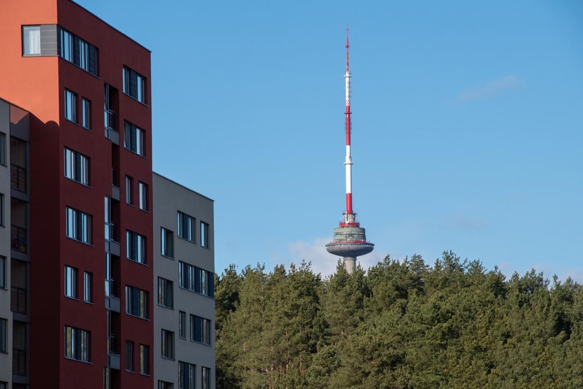 torre della tv foresta alberi