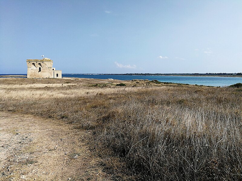 torre guaceto carovigno