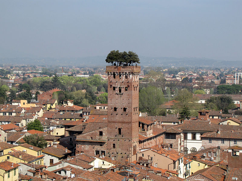 torre guinigi lucca