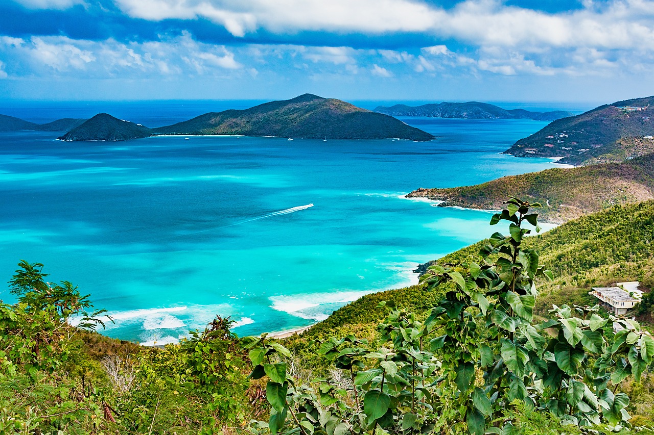 tortola vergine isole britannico