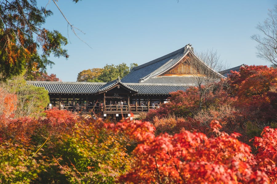 traditional asian temple near trees in autumn 1