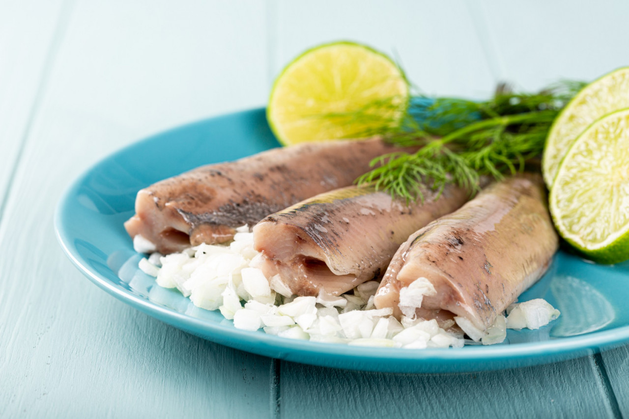 traditional dutch food freshly salted herring fish with onion called hollandse nieuwe turquoise plate wooden surface european food concept with copy space