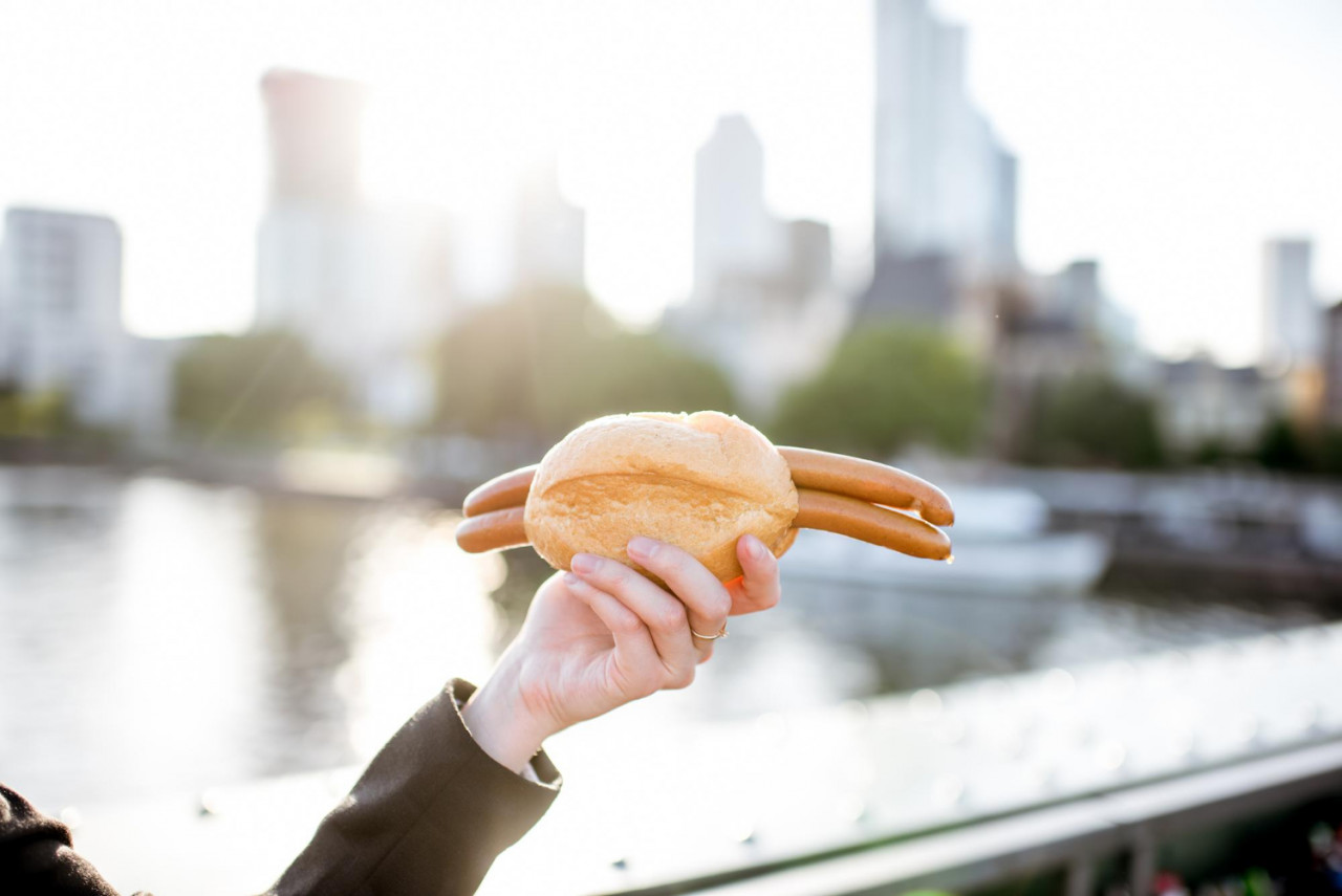 traditional frankfurt sausages with bread hand frankfurt city background