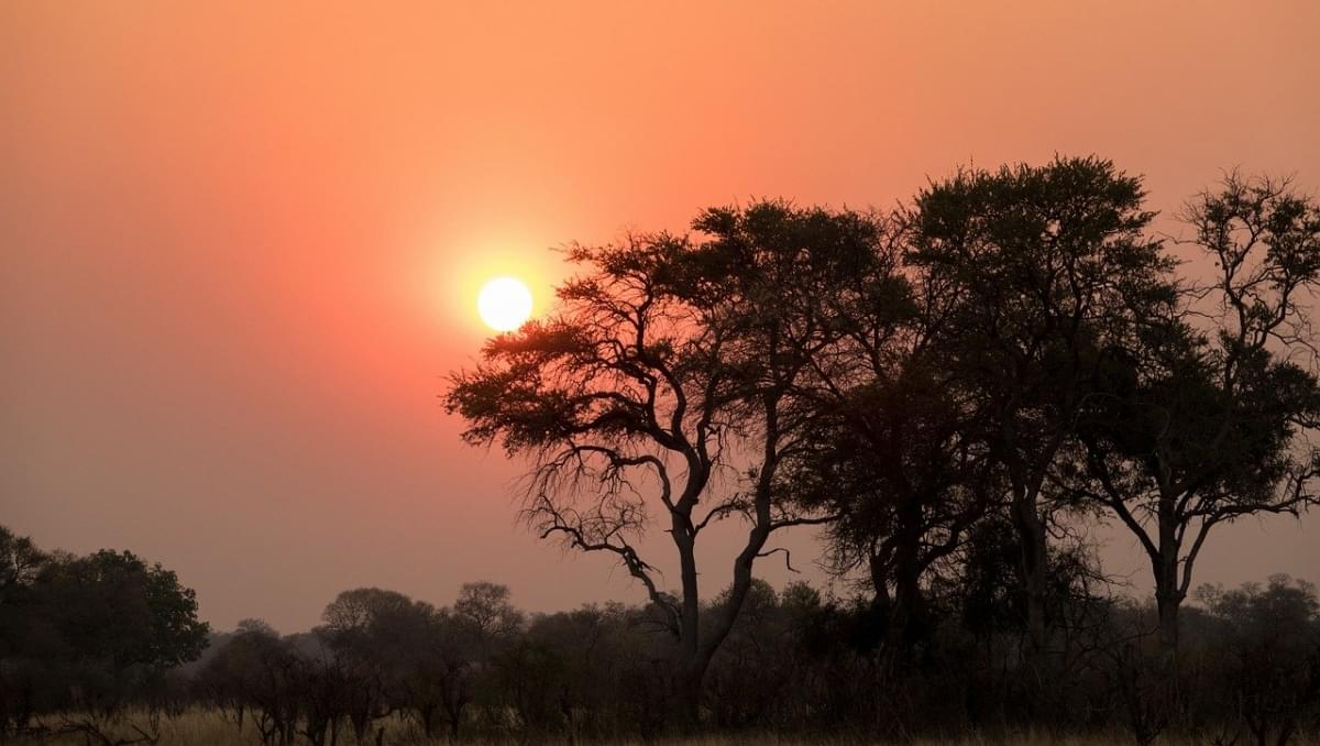 tramonto botswana scatti di natura