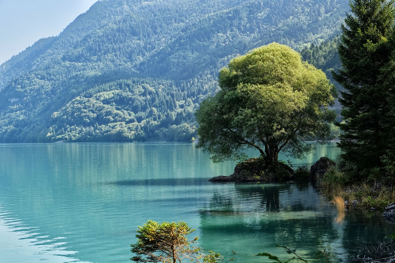 trentino lago natura dolomiti