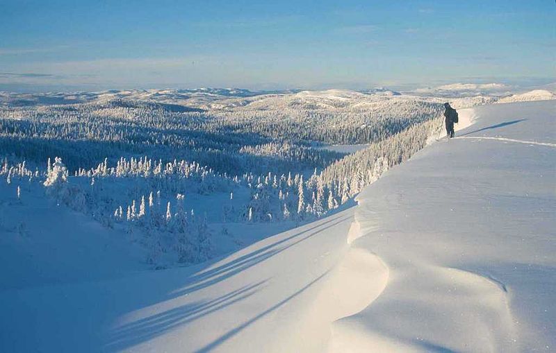 Trillemarka - Rollagsfjell, Norvegia