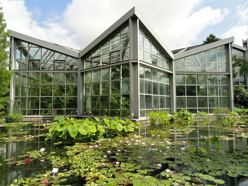 tropicarium palmengarten frankfurt dsc01889 1