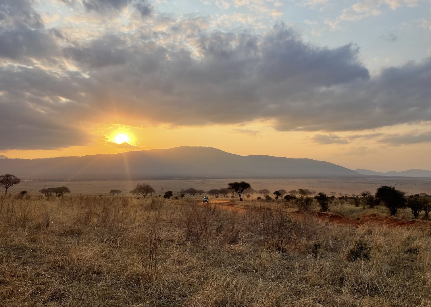 tsavo est 1