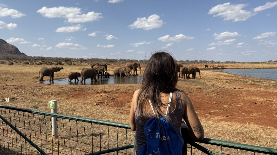 tsavo est pozza elefanti