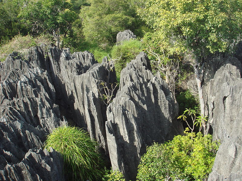 Riserva naturale integrale Tsingy, Madagascar