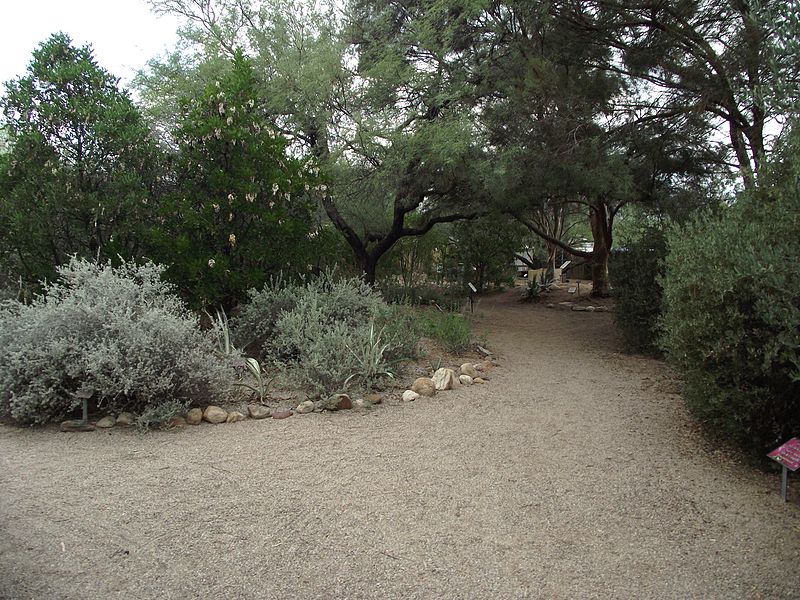 tucson botanical gardens