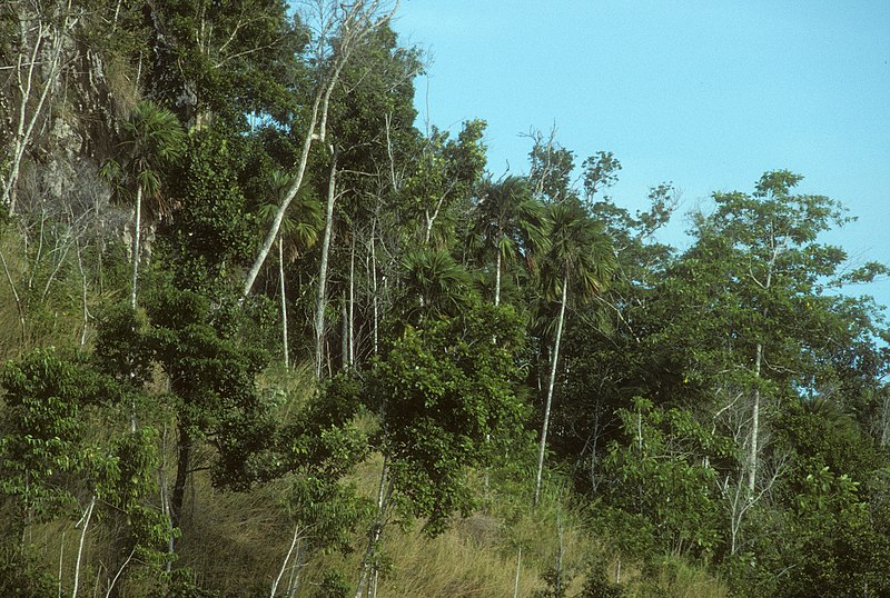 tulagi solomon islands