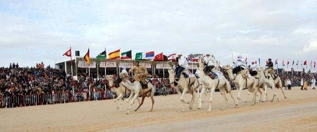 tunisia festival cavalli arabi