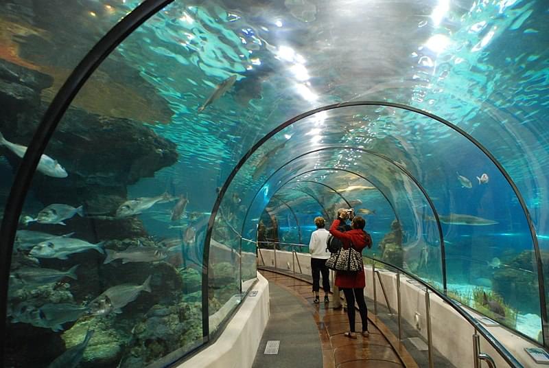 tunnel acquario barcellona 1