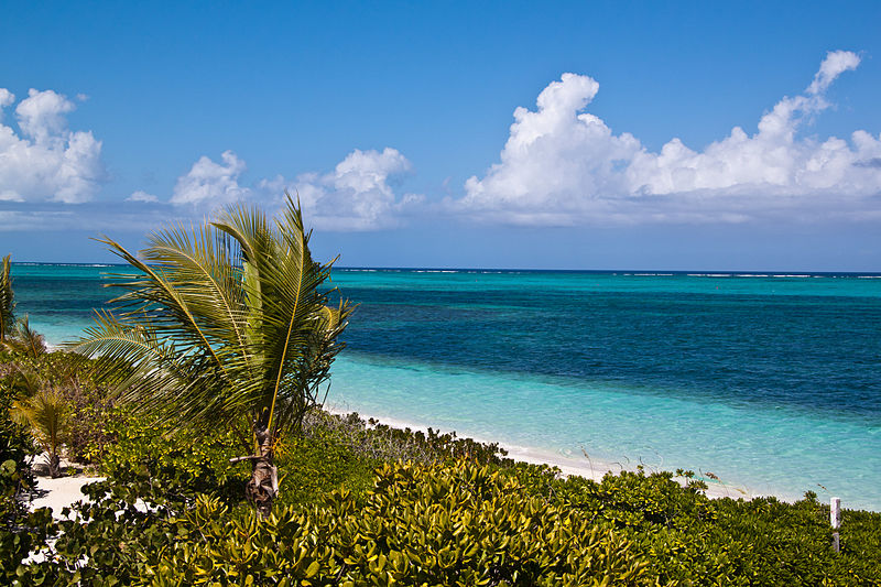 turtle cove providenciales beach 1