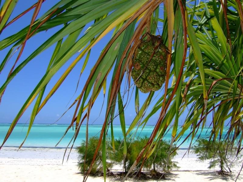 spiagge dello Zanzibar ad Agosto