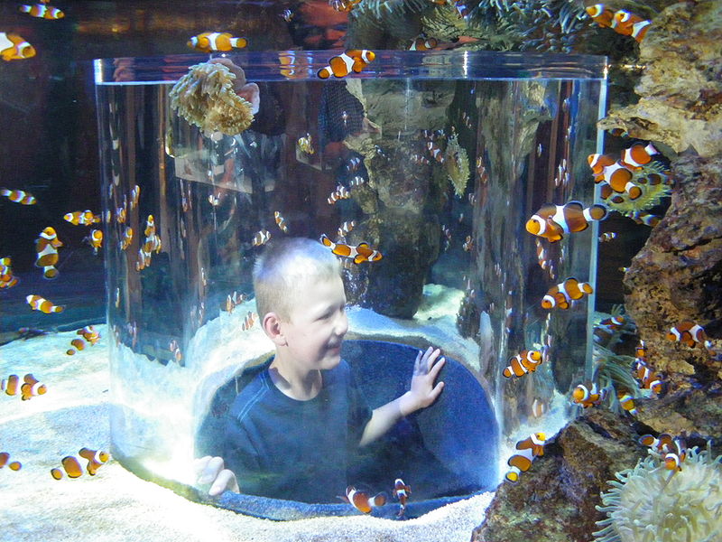 01 two oceans aquarium