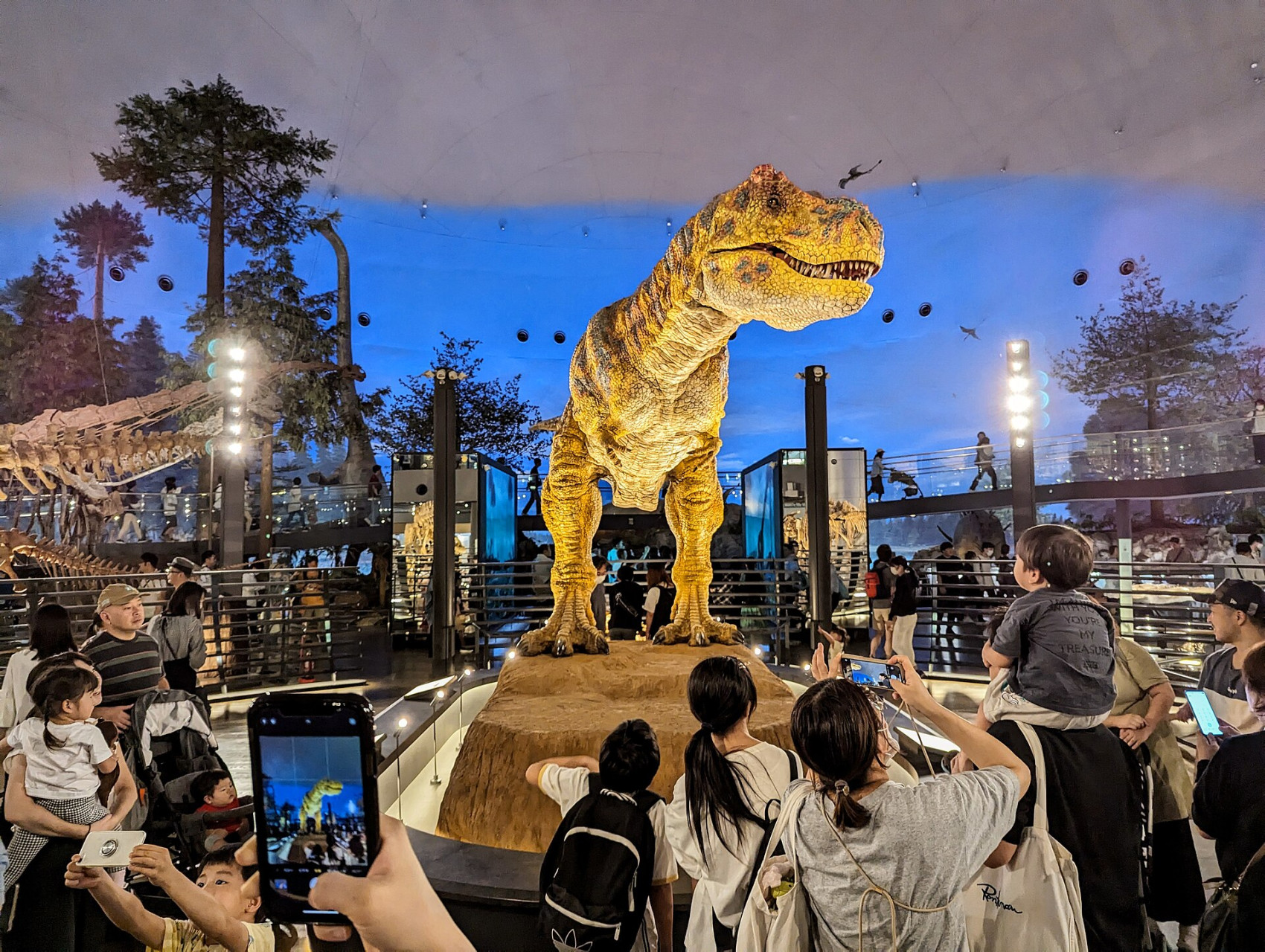 tyrannosaurus at the fukui prefectural dinosaur museum