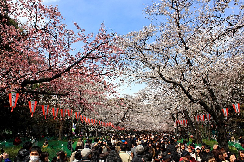 Ueno Park, Tokyo (Giappone)